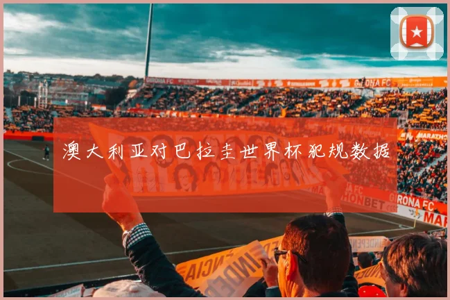 澳大利亚对巴拉圭世界杯犯规数据