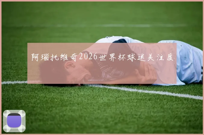 阿瑙托维奇2026世界杯球迷关注度