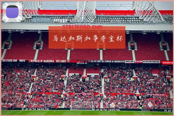 马达加斯加争夺金杯 - 星空体育APP