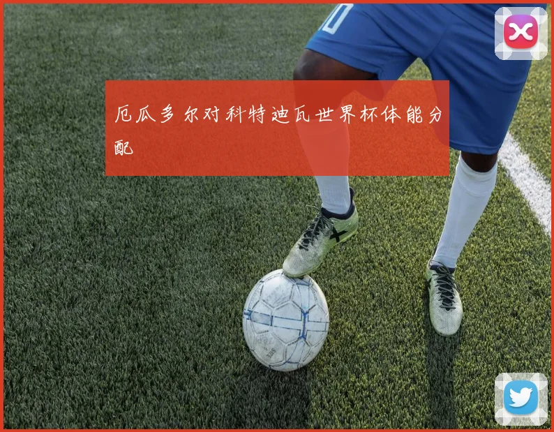 厄瓜多尔对科特迪瓦世界杯体能分配