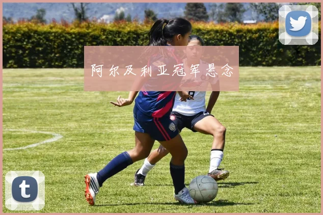 阿尔及利亚冠军悬念 - 星空体育APP