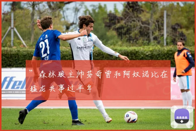 ”森林狼主帅芬奇曾和阿奴诺比在猛龙共事过半年 - 星空体育APP