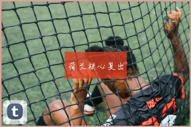 荷兰核心复出 - 星空体育APP