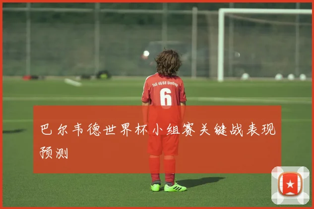 巴尔韦德世界杯小组赛关键战表现预测