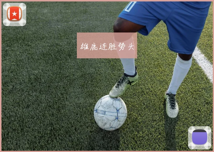 雄鹿连胜势头 - 星空体育APP