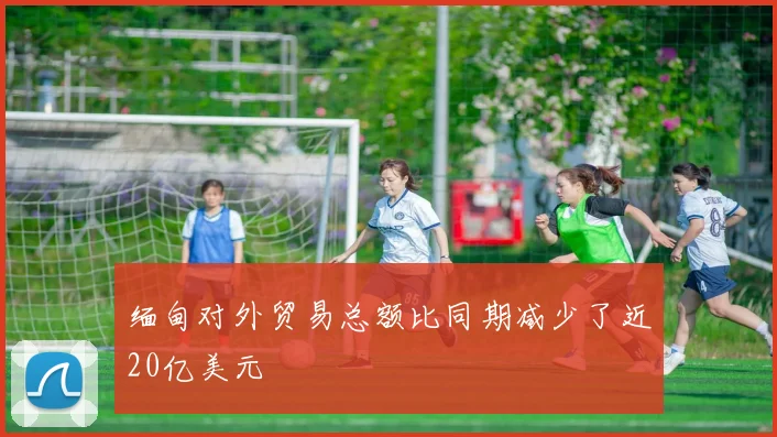 缅甸对外贸易总额比同期减少了近20亿美元 - 星空体育APP