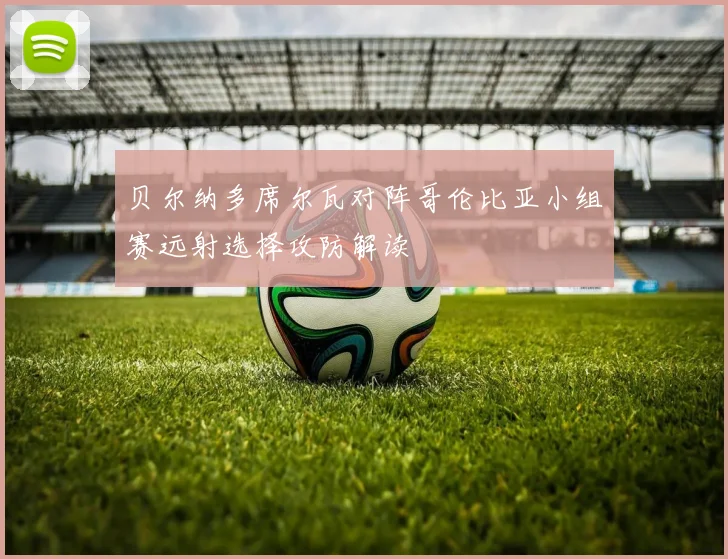 贝尔纳多席尔瓦对阵哥伦比亚小组赛远射选择攻防解读